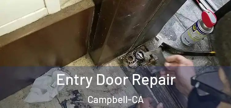  Entry Door Repair Campbell-CA