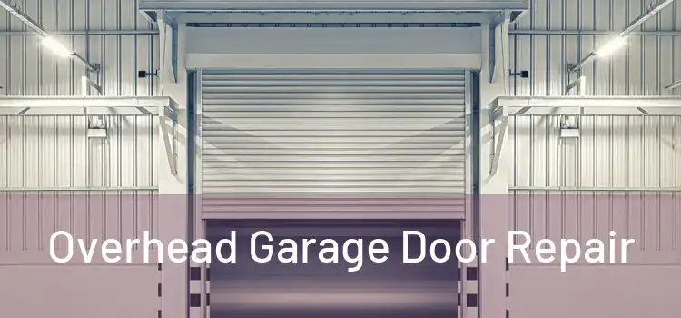  Overhead Garage Door Repair 